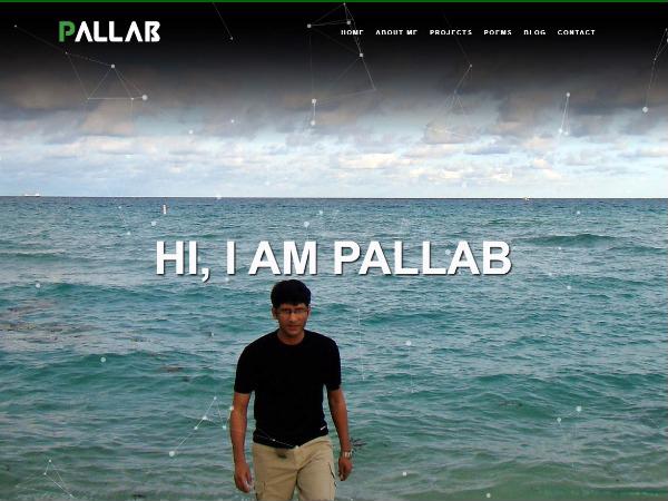 www.pallab.com